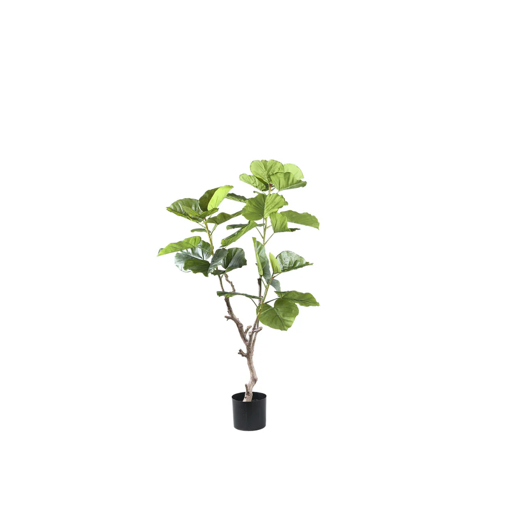 Tree Green Ficus Tree In Pot S 94x75x122cm PTMD - Afbeelding 6
