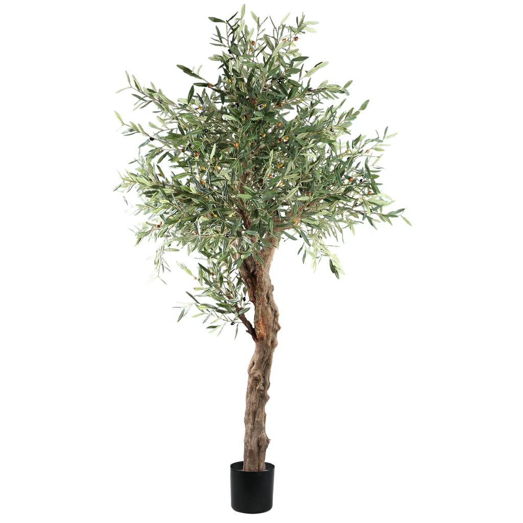 Tree Green Olive Tree In Pot 120x120x210cm PTMD - Afbeelding 4