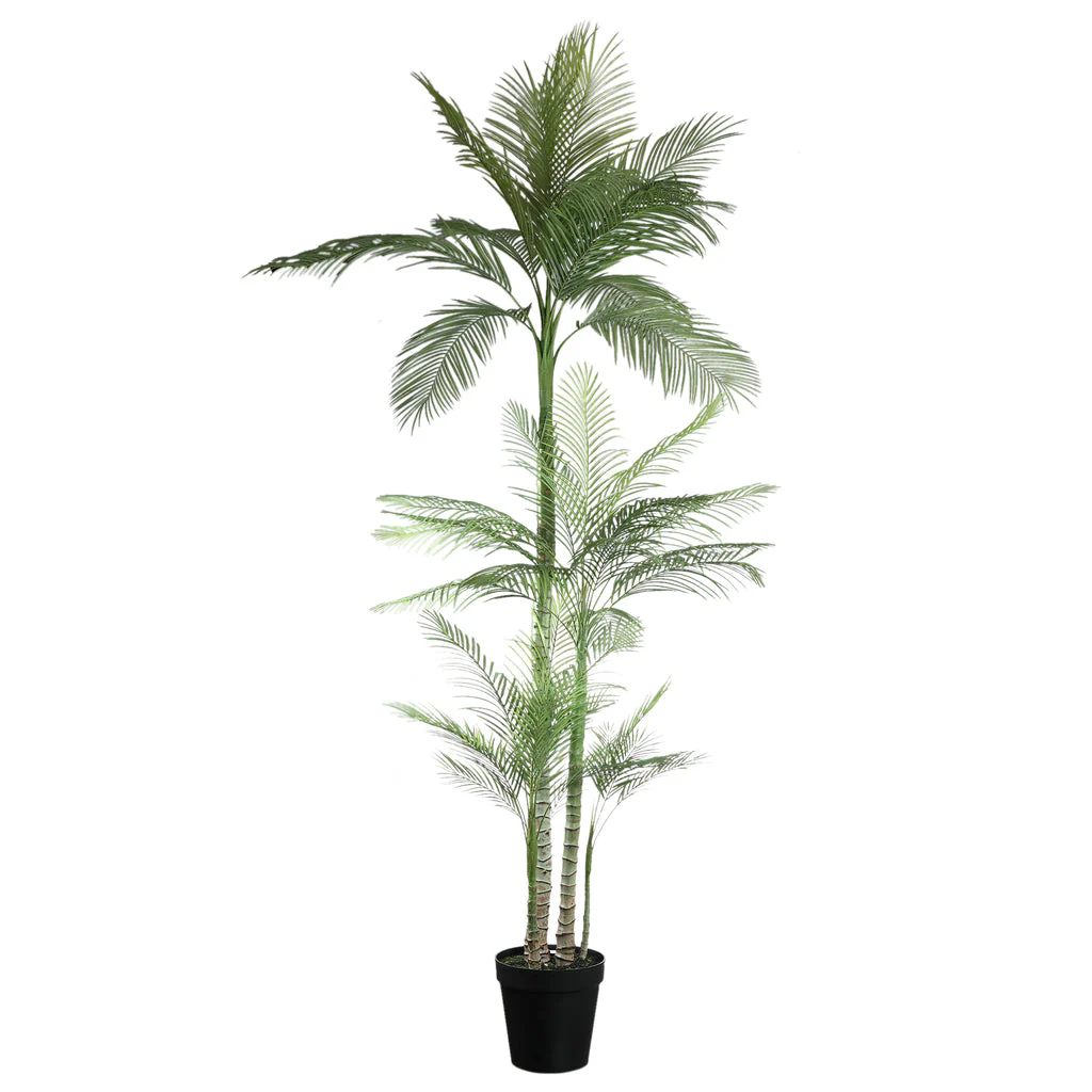 Tree Green Palm Tree In Black Pot 160x160.x248cm PTMD - Afbeelding 4