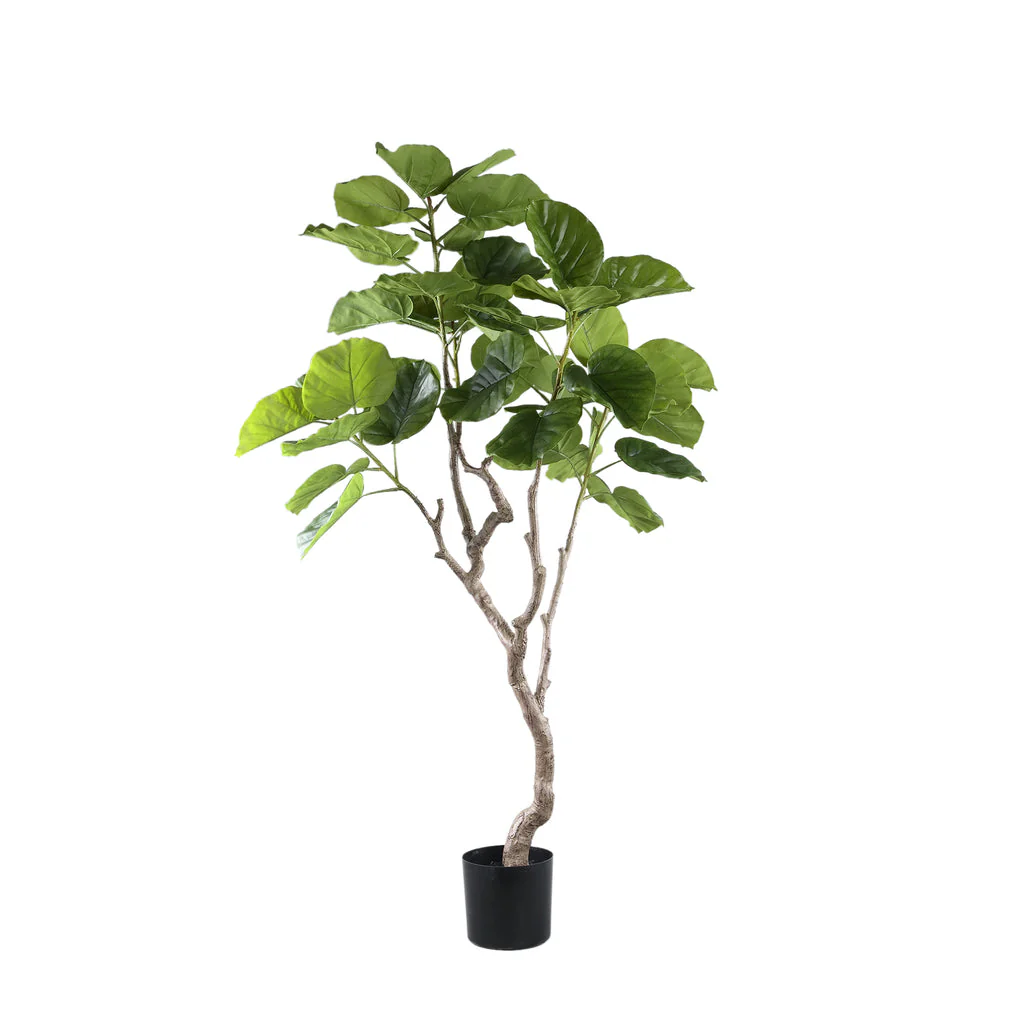 Tree Green Ficus Tree In Pot M 109x115x15,5cm PTMD - Afbeelding 7