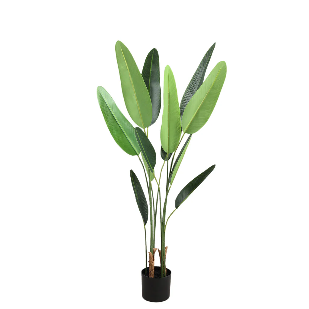 Tree Green Leaf Ravenala In Black Pot S 70x80x120cm PTMD - Afbeelding 5