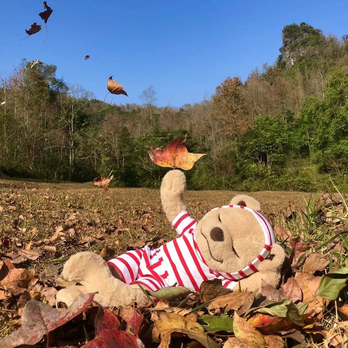 Yoga beer - meditatie en mindfulness - knuffel - Afbeelding 4