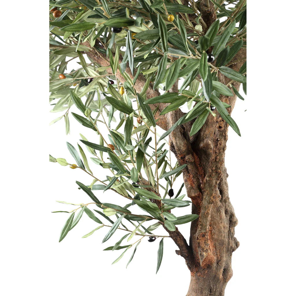 Tree Green Olive Tree In Pot 120x120x210cm PTMD - Afbeelding 5