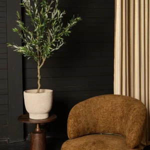 Tree Green Olive Tree In Pot L 110x70x156cm PTMD