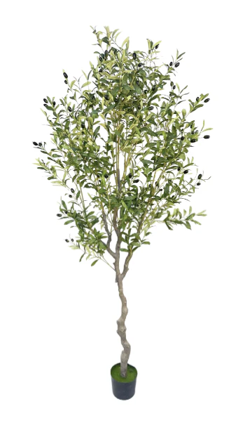 Kunst Olijfboom - Afbeelding 4