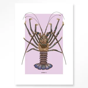 Langosta - Moderne Wanddecoratie | Artprint, Glass Art & Wandkleed