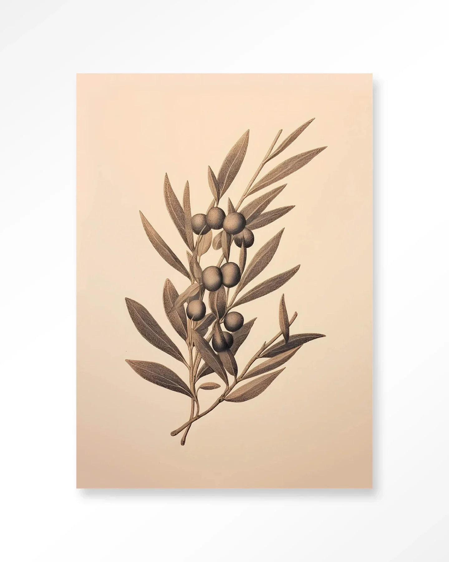 Oliva - Moderne Wanddecoratie | Artprint, Glass Art & Wandkleed - Afbeelding 2