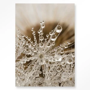 Landelijke Natuur - Moderne Wanddecoratie | Artprint, Glass Art & Wandkleed