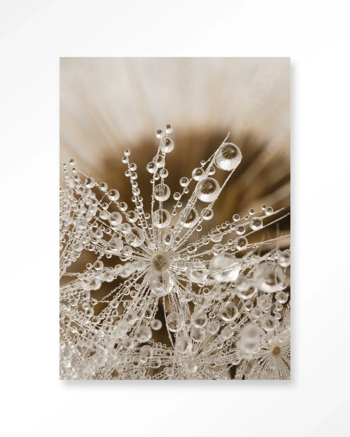 Landelijke Natuur - Moderne Wanddecoratie | Artprint, Glass Art & Wandkleed - Afbeelding 2