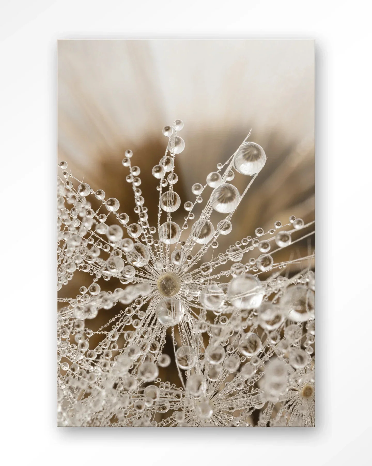 Landelijke Natuur - Moderne Wanddecoratie | Artprint, Glass Art & Wandkleed - Afbeelding 5
