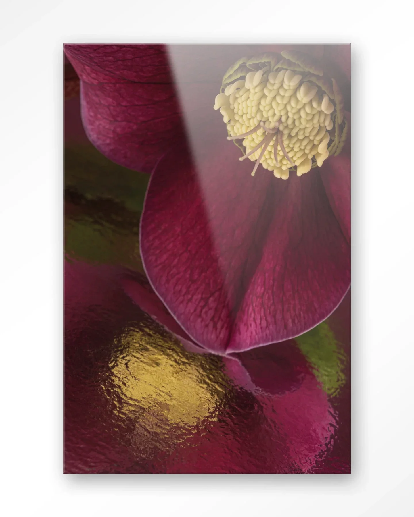 Weerspiegeling Van Een Kerstroos - Moderne Wanddecoratie | Artprint, Glass Art & Wandkleed - Afbeelding 5