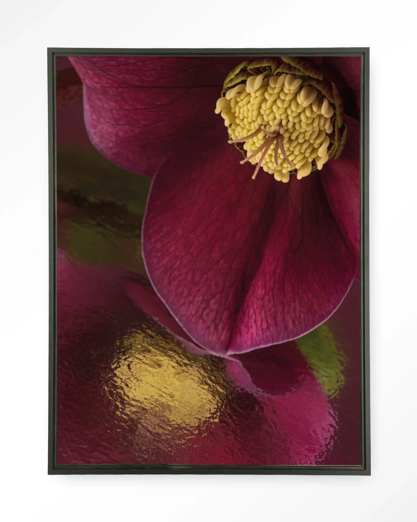 Weerspiegeling Van Een Kerstroos - Moderne Wanddecoratie | Artprint, Glass Art & Wandkleed - Afbeelding 6