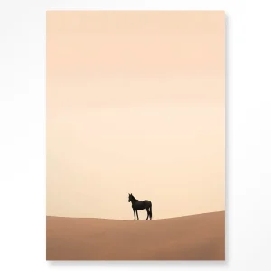 Desert Horse - Moderne Wanddecoratie | Artprint, Glass Art & Wandkleed