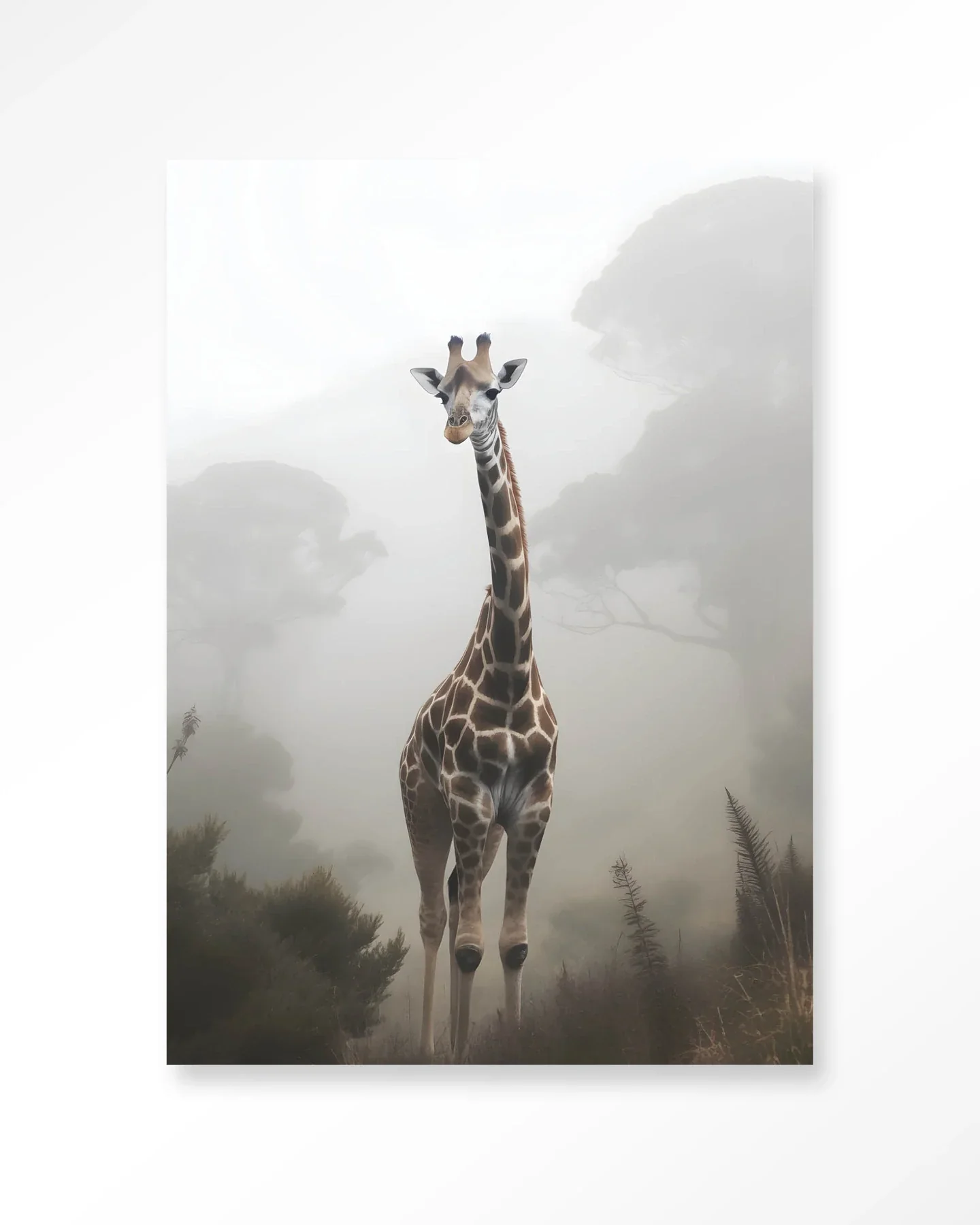 Giraffe Mist - Moderne Wanddecoratie | Artprint, Glass Art & Wandkleed - Afbeelding 2
