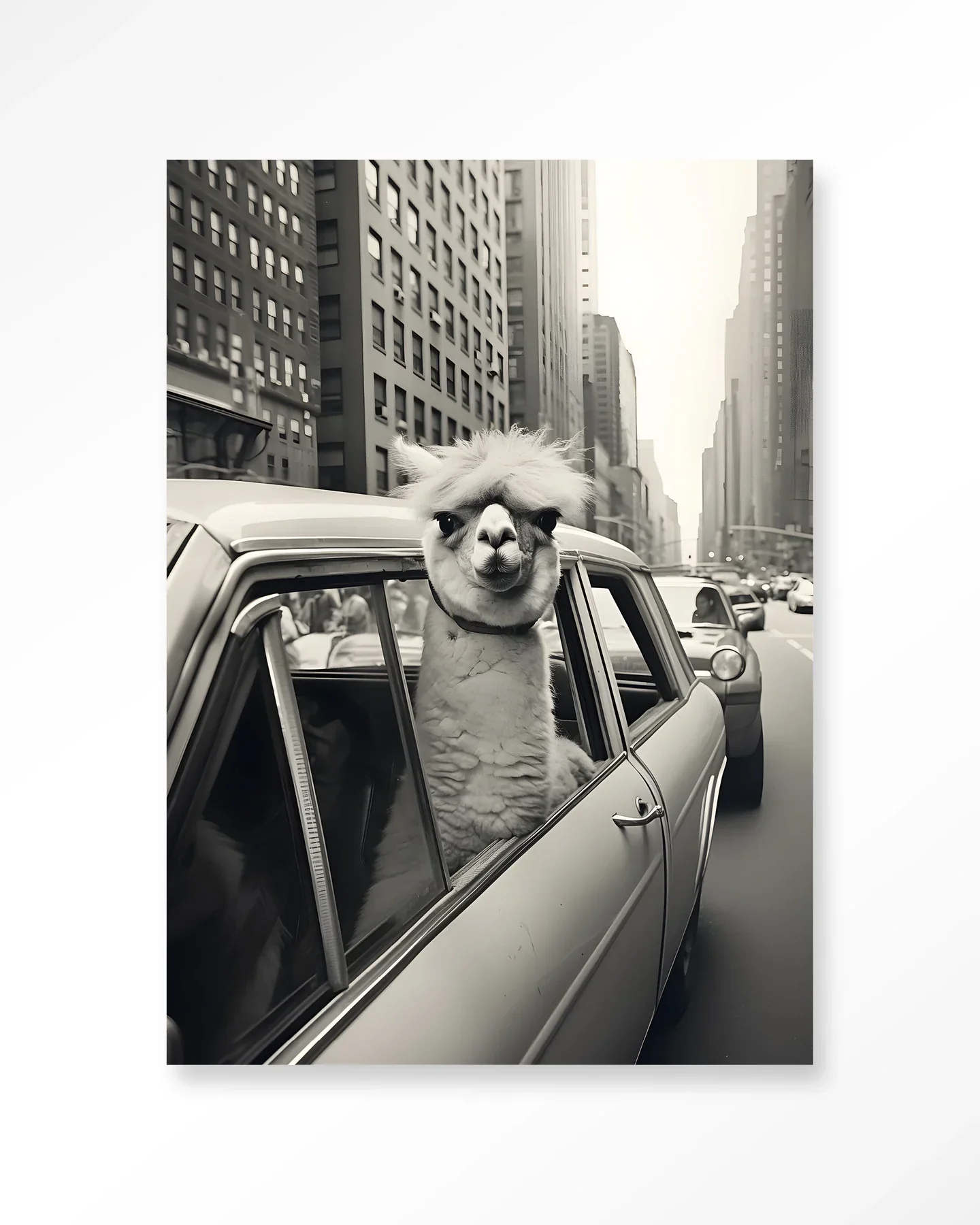 Alpaca In NY - Moderne Wanddecoratie | Artprint, Glass Art & Wandkleed