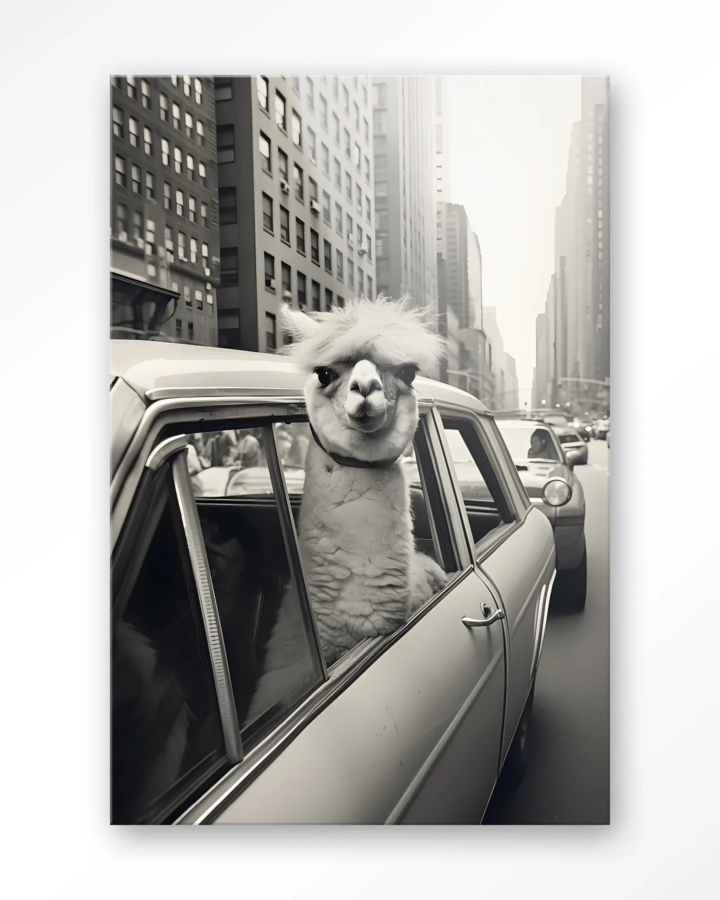 Alpaca In NY - Moderne Wanddecoratie | Artprint, Glass Art & Wandkleed - Afbeelding 4