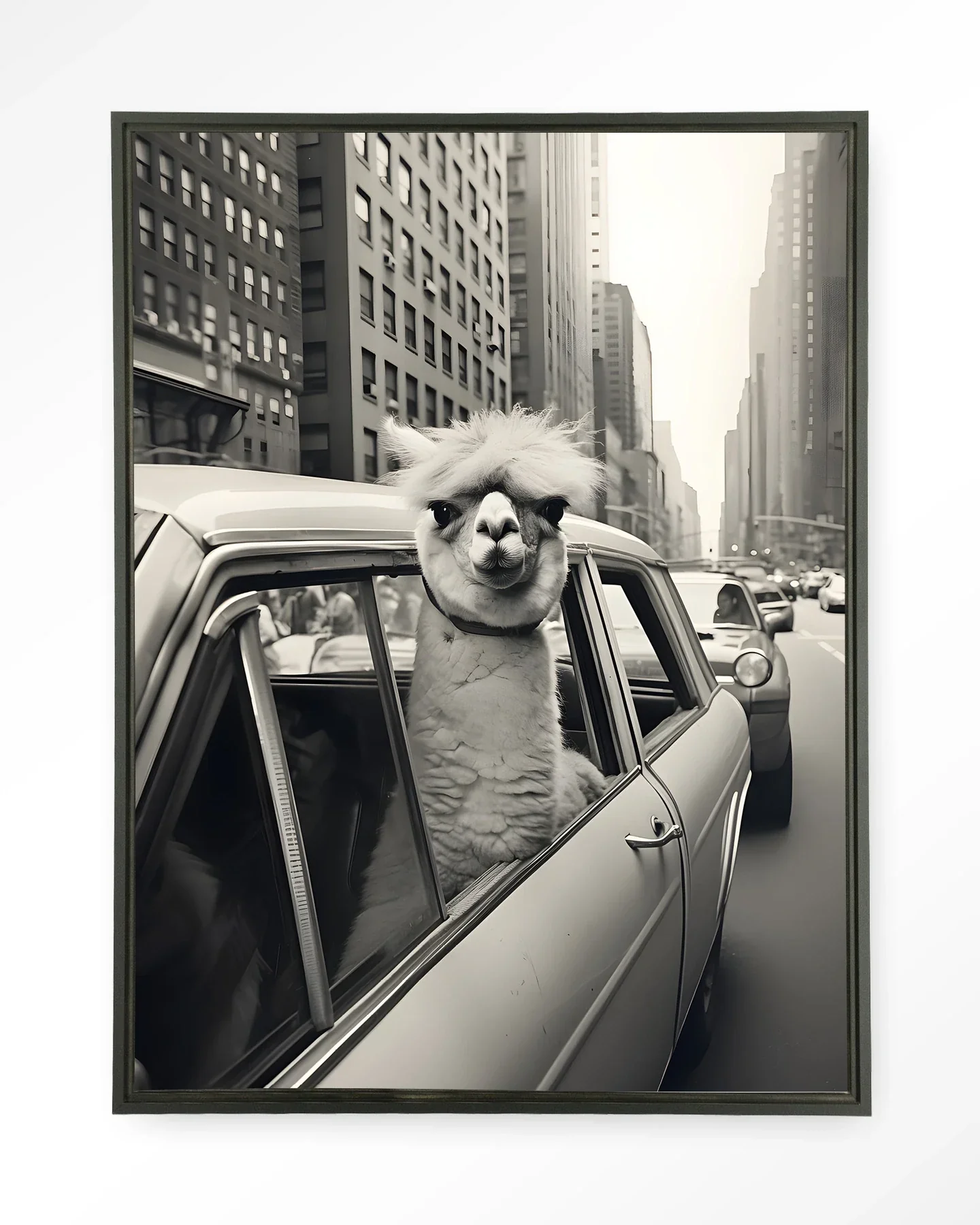 Alpaca In NY - Moderne Wanddecoratie | Artprint, Glass Art & Wandkleed - Afbeelding 5