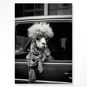 Alpaca In Taxi - Moderne Wanddecoratie | Artprint, Glass Art & Wandkleed