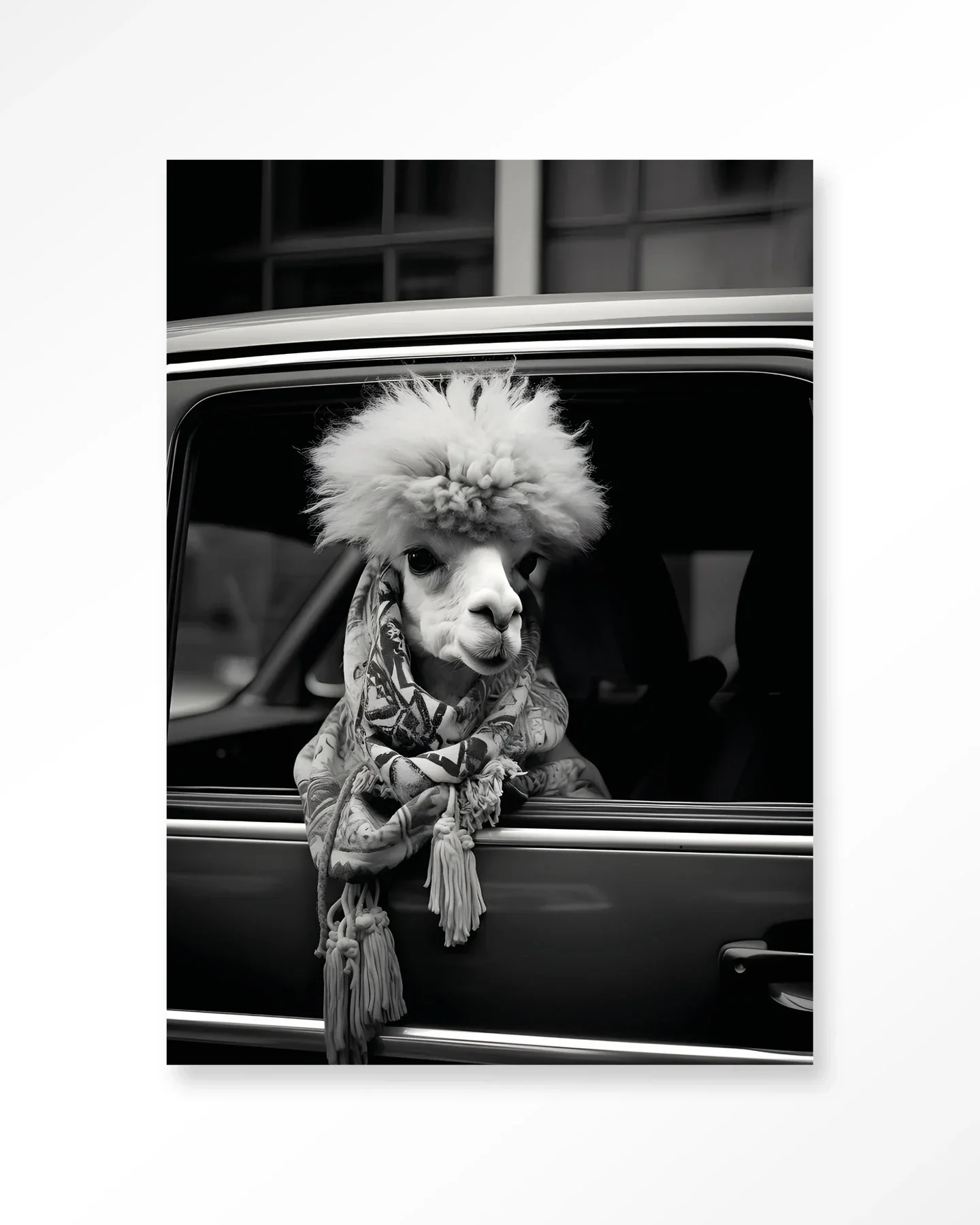 Alpaca In Taxi - Moderne Wanddecoratie | Artprint, Glass Art & Wandkleed