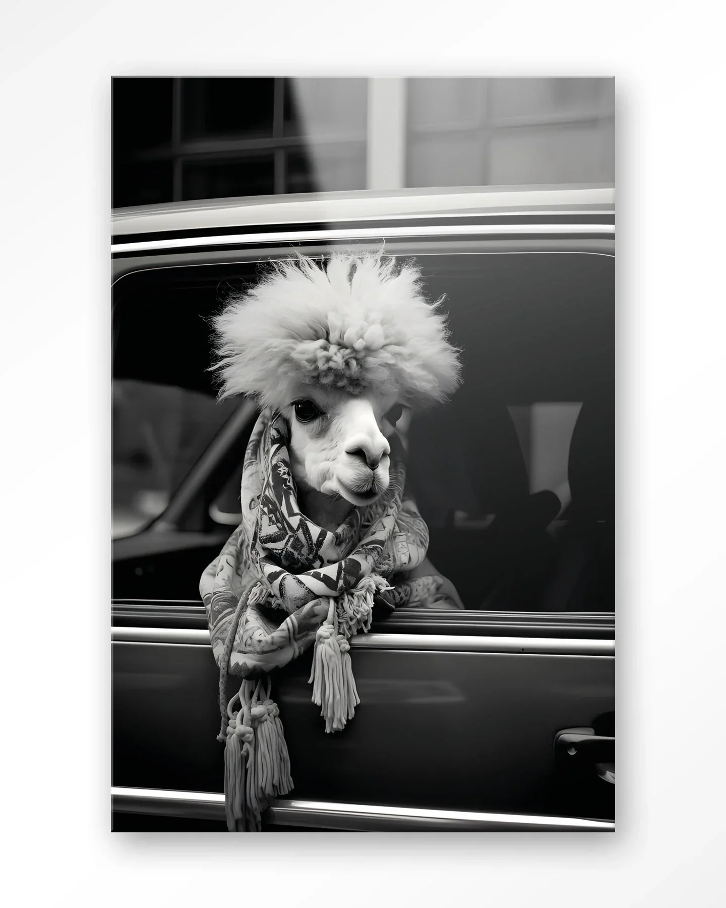 Alpaca In Taxi - Moderne Wanddecoratie | Artprint, Glass Art & Wandkleed - Afbeelding 4