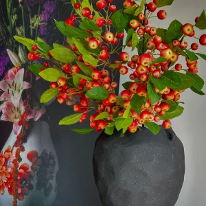 Sierappel Takken - Kunst