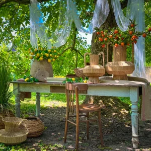 Oude Franse stamtafel