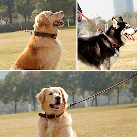 Hondenriem - Leer - 1.2 Meter - Huidvriendelijk - Afbeelding 3