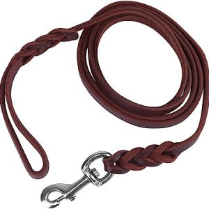 Hondenriem - Leer - 1.2 Meter - Huidvriendelijk