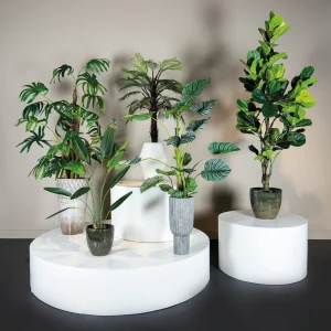 Tree Green Leaf Ravenala In Black Pot S 70x80x120cm PTMD