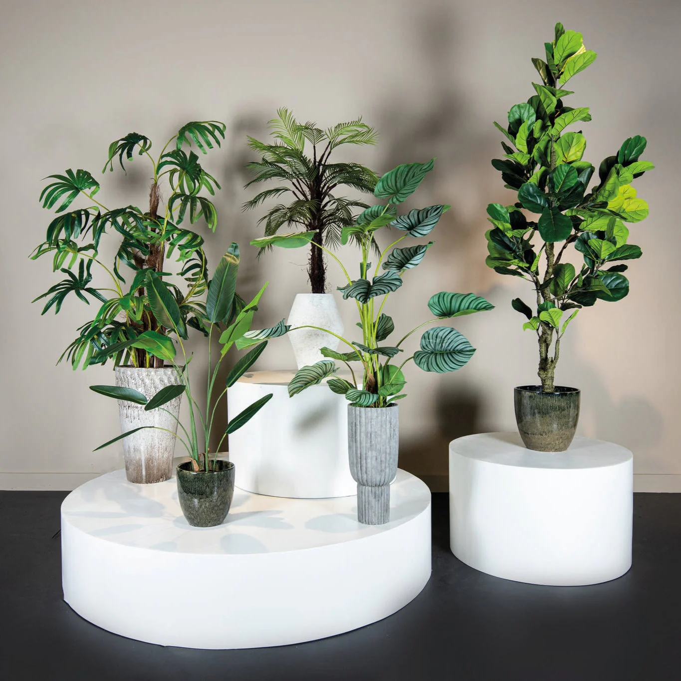 Tree Green Leaf Ravenala In Black Pot S 70x80x120cm PTMD