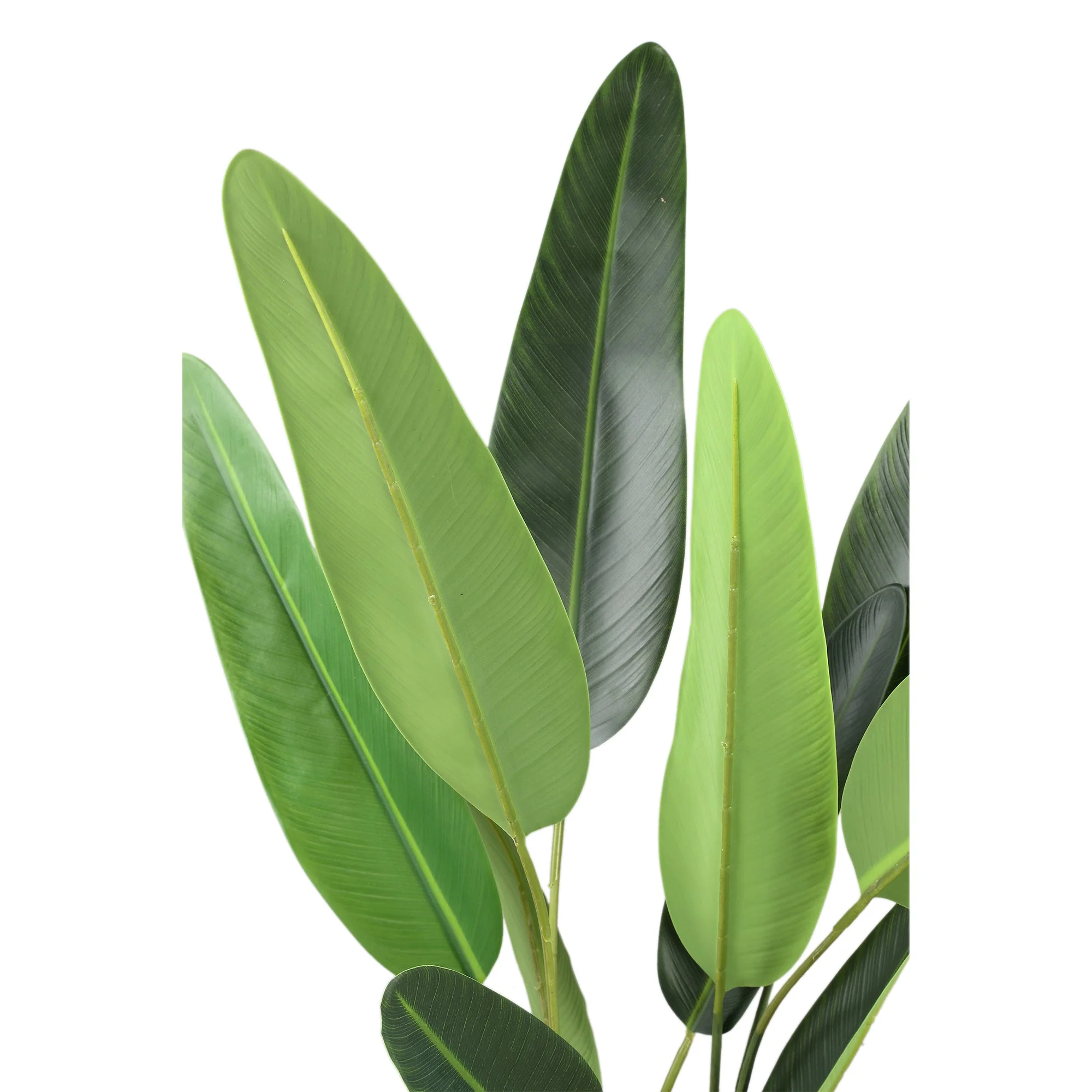 Tree Green Leaf Ravenala In Black Pot S 70x80x120cm PTMD - Afbeelding 4