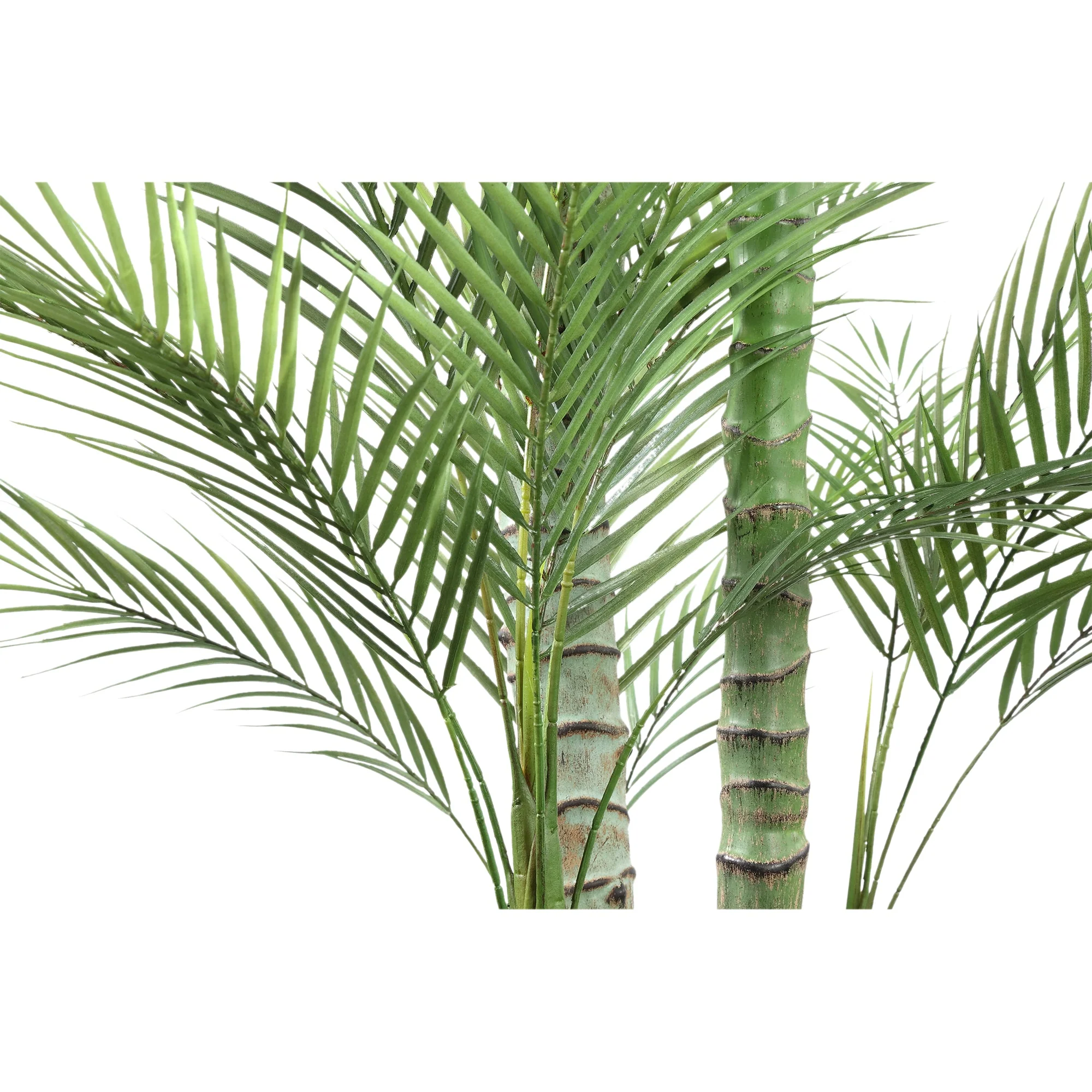 Tree Green Palm Tree In Black Pot 160x160.x248cm PTMD - Afbeelding 3