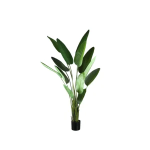 Kunst Strelitzia 235 cm – Real Touch Kunstplant Groot – PTMD