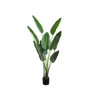 Kunst Strelitzia 150 cm – Real Touch Kunstplant Groot – PTMD