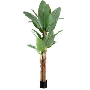 Tree Green PE Real Touch Banana Tree L 170x163x280cm PTMD