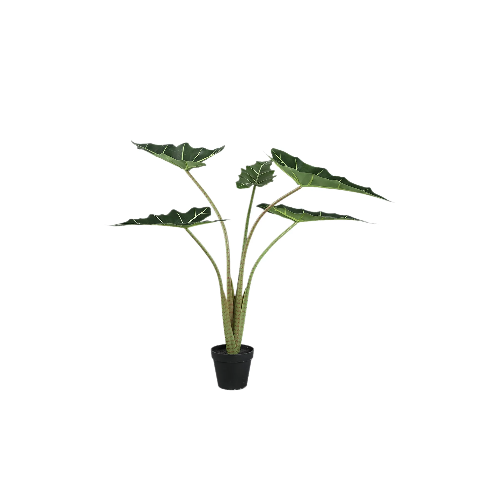 Kunst Alocasia Plant 80 cm – Kunstplant Groen – Inclusief Pot