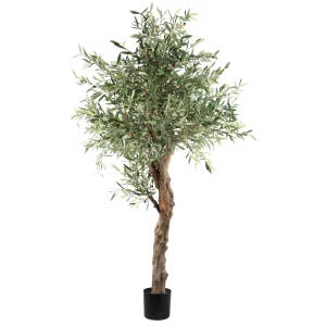 Tree Green Olive Tree In Pot 120x120x210cm PTMD