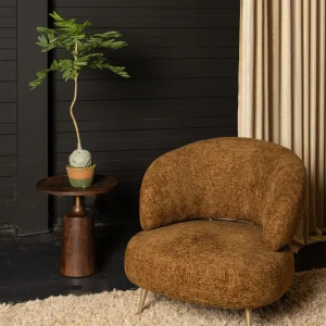 Tree Green Jacaranda Tree In Pot 43x45x99cm PTMD