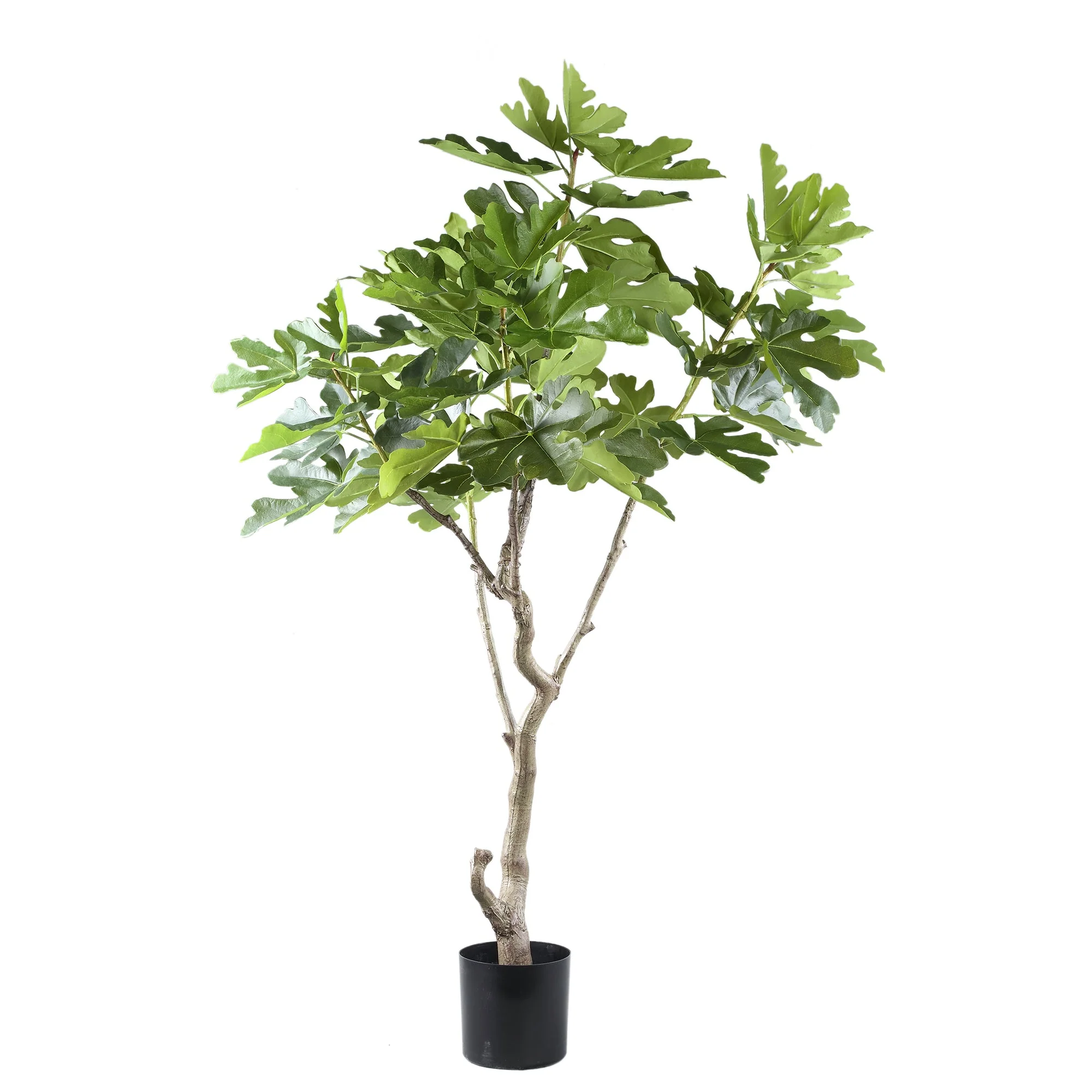 Tree Green Fig Tree In Pot L 118x110x152,5cm PTMD - Afbeelding 2