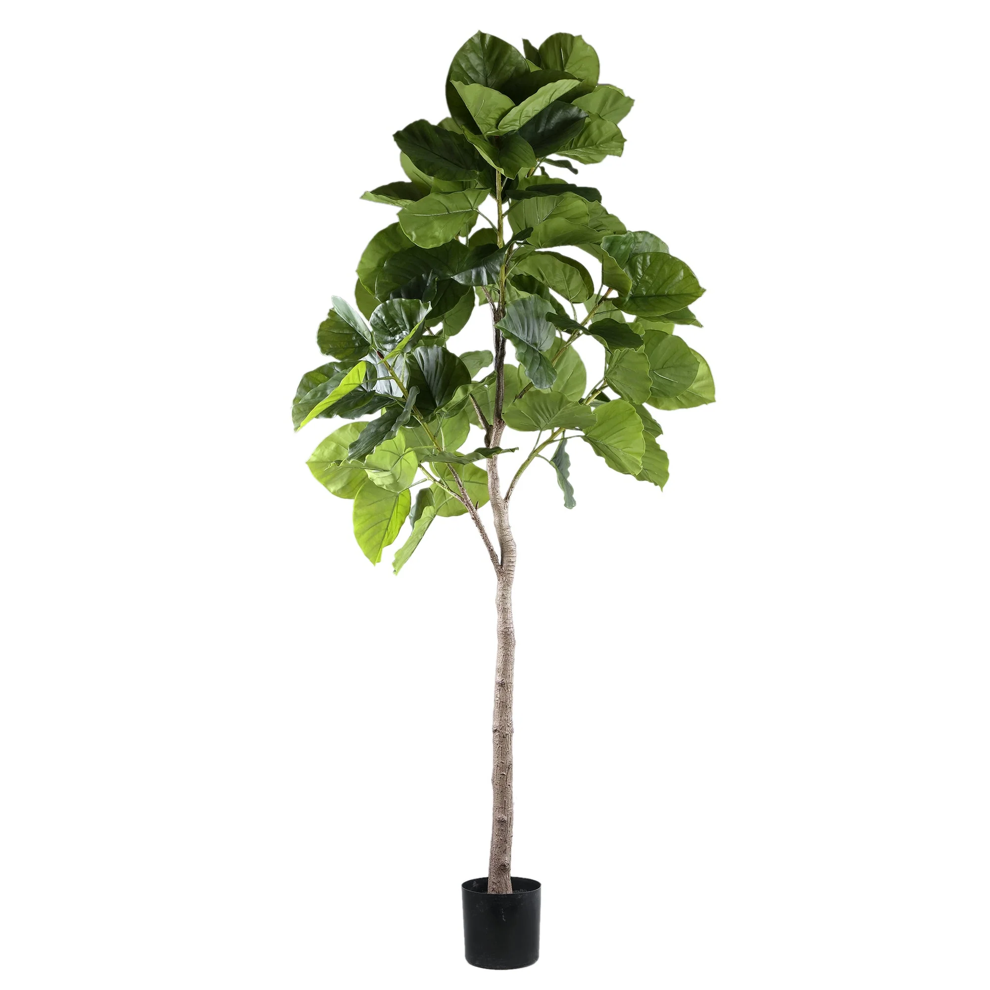 Tree Green Ficus Tree In Pot L 118x 85x183cm PTMD - Afbeelding 3