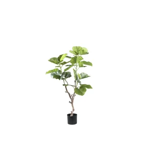 Tree Green Ficus Tree In Pot S 94x75x122cm PTMD