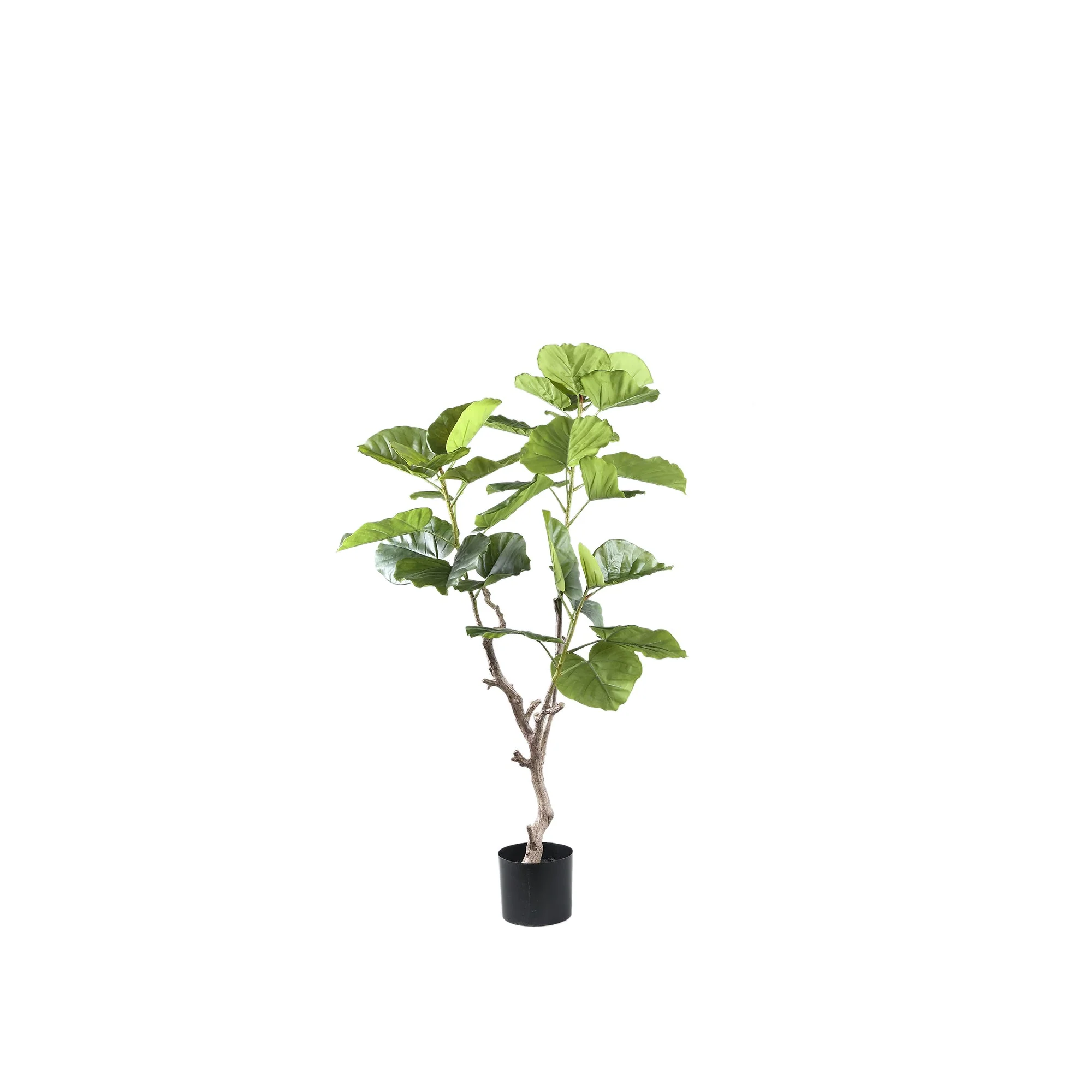 Tree Green Ficus Tree In Pot S 94x75x122cm PTMD