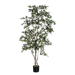 Kunst Ficus Microcarpa 185 cm – Grote Kunstplant – Inclusief Pot