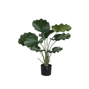 Kunst Licuala Plant 90 cm – Grote Kunstplant Donkergroen – Inclusief Pot