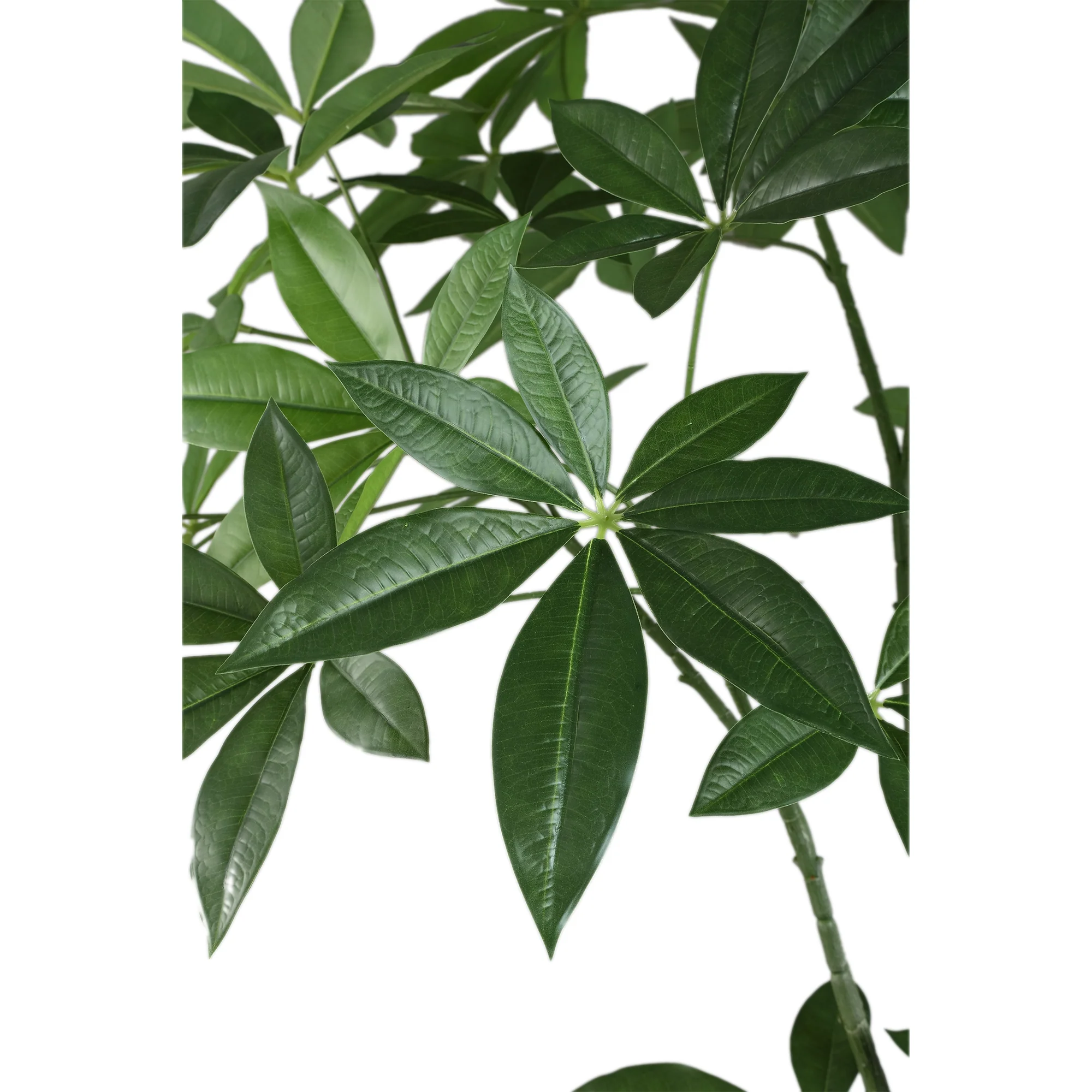 Kunst Pachira Plant 150 cm – Grote Kunstplant – Inclusief Pot - Afbeelding 3