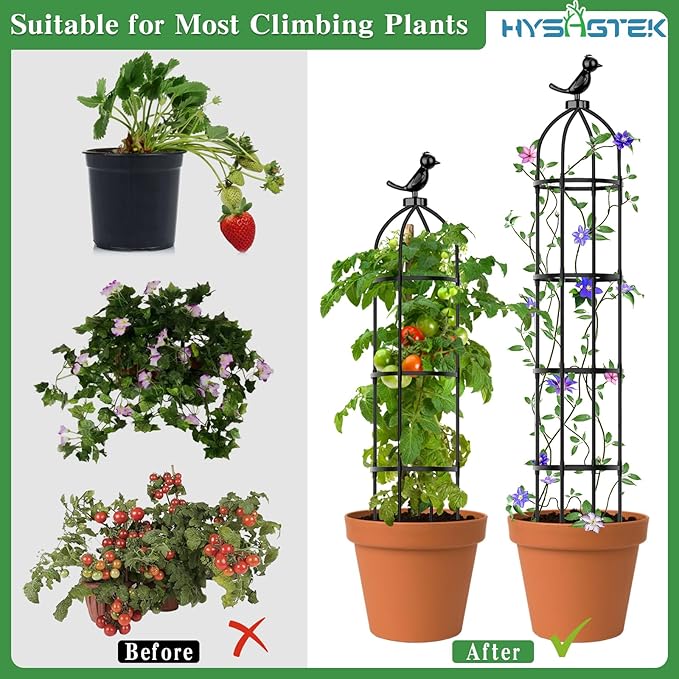 Klimplanten Obelisk Set van 2- Verstelbare hoogte tot 145 cm - Plant Ondersteuning - Inclusief Plant Clips - Afbeelding 6