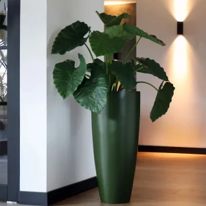 Bloempot Kentucky S green