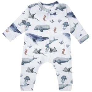 BOXPAKJE | Deep Sea Life