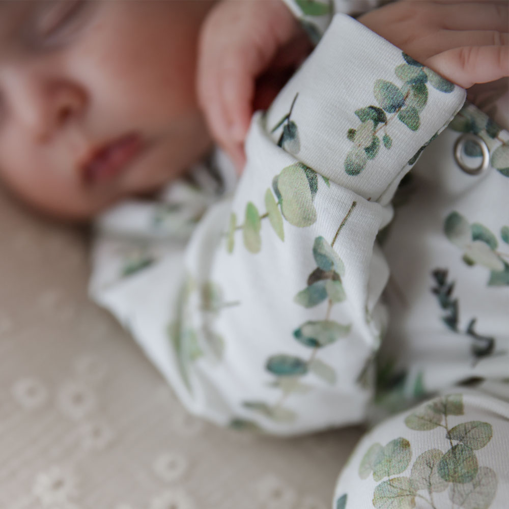 BOXPAKJE | Eucalyptus - Afbeelding 3