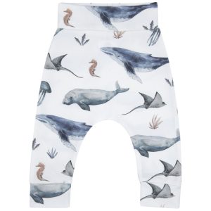 BROEKJE | Deep Sea Life